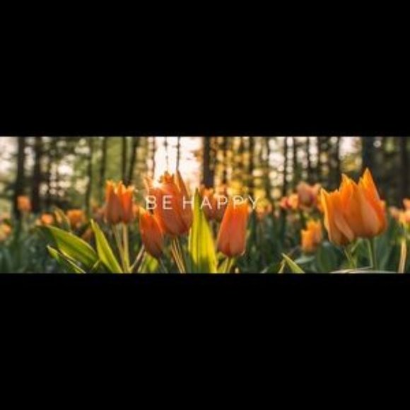 Meet your Posher, - Picture 1 of 1